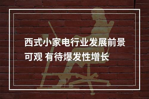 西式小家电行业发展前景可观 有待爆发性增长