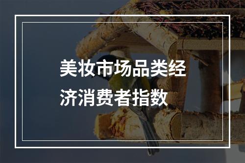 美妆市场品类经济消费者指数