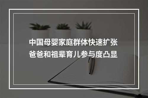 中国母婴家庭群体快速扩张 爸爸和祖辈育儿参与度凸显