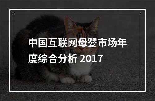 中国互联网母婴市场年度综合分析 2017