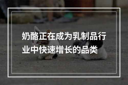 奶酪正在成为乳制品行业中快速增长的品类