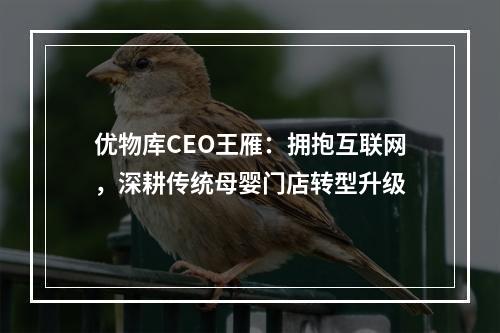 优物库CEO王雁：拥抱互联网，深耕传统母婴门店转型升级