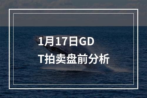 1月17日GDT拍卖盘前分析