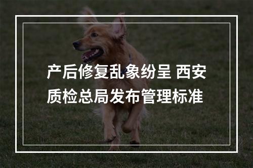 产后修复乱象纷呈 西安质检总局发布管理标准