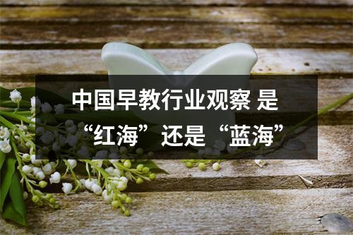 中国早教行业观察 是“红海”还是“蓝海”