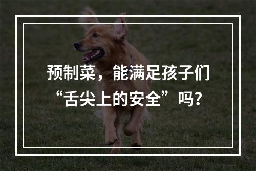 预制菜，能满足孩子们“舌尖上的安全”吗？