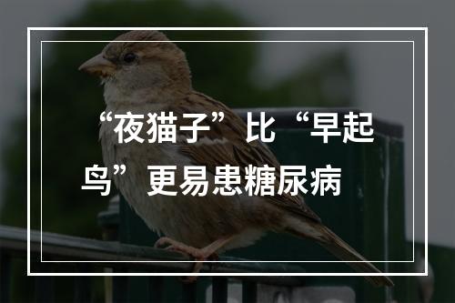 “夜猫子”比“早起鸟”更易患糖尿病