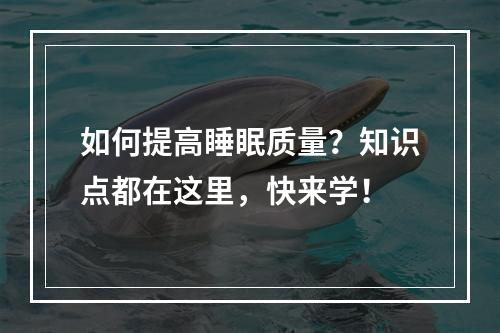 如何提高睡眠质量？知识点都在这里，快来学！