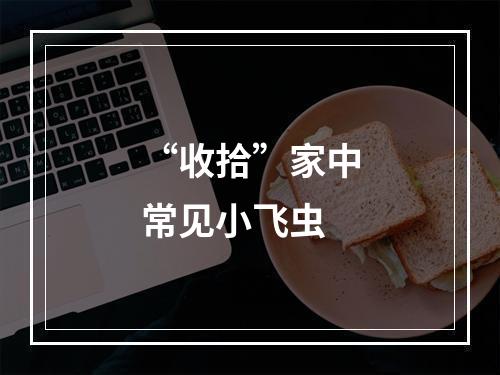 “收拾”家中常见小飞虫