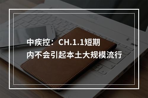 中疾控：CH.1.1短期内不会引起本土大规模流行