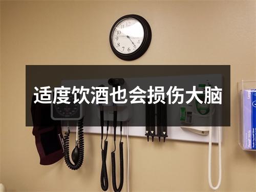 适度饮酒也会损伤大脑