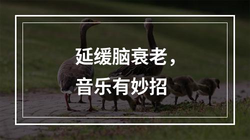 延缓脑衰老，音乐有妙招