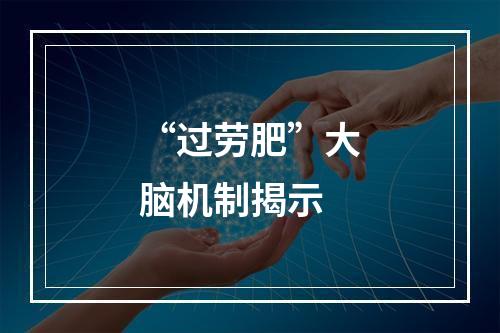 “过劳肥”大脑机制揭示