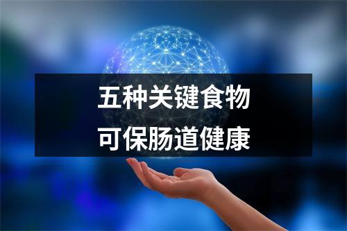 五种关键食物可保肠道健康