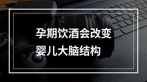 孕期饮酒会改变婴儿大脑结构