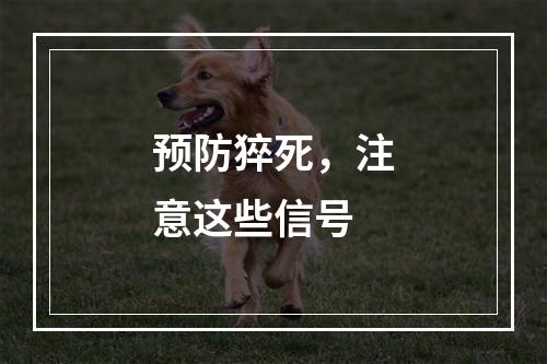 预防猝死，注意这些信号