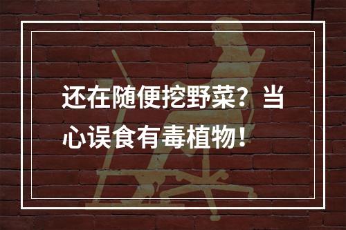 还在随便挖野菜？当心误食有毒植物！