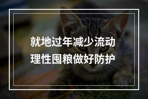 就地过年减少流动 理性囤粮做好防护