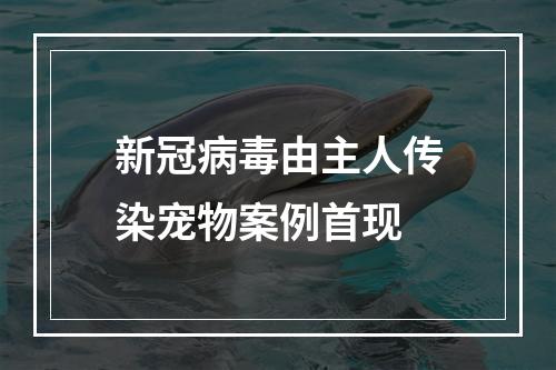 新冠病毒由主人传染宠物案例首现