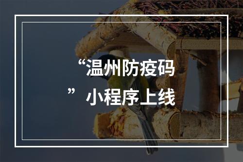 “温州防疫码”小程序上线