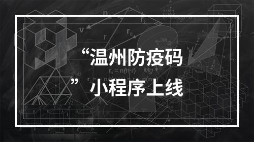 “温州防疫码”小程序上线