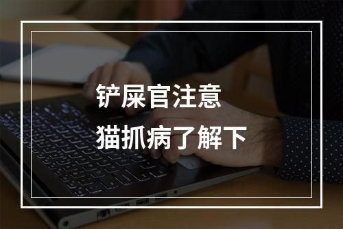 铲屎官注意 猫抓病了解下