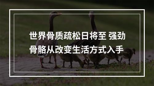 世界骨质疏松日将至 强劲骨骼从改变生活方式入手