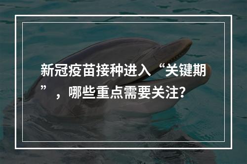 新冠疫苗接种进入“关键期”，哪些重点需要关注？