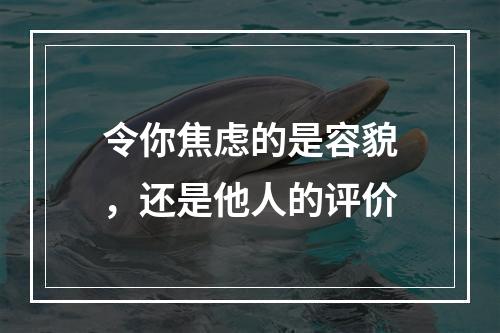 令你焦虑的是容貌，还是他人的评价