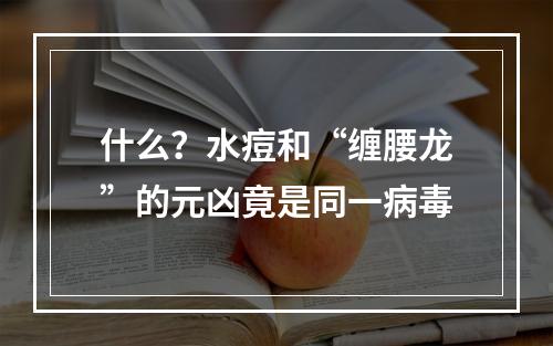 什么？水痘和“缠腰龙”的元凶竟是同一病毒