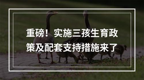 重磅！实施三孩生育政策及配套支持措施来了