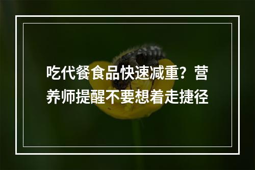 吃代餐食品快速减重？营养师提醒不要想着走捷径