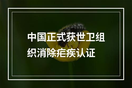 中国正式获世卫组织消除疟疾认证