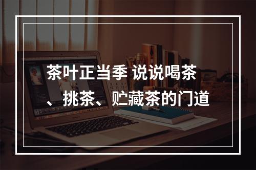 茶叶正当季 说说喝茶、挑茶、贮藏茶的门道