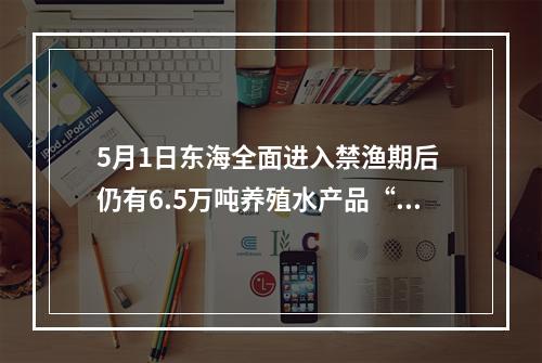 5月1日东海全面进入禁渔期后 仍有6.5万吨养殖水产品“游”上餐桌