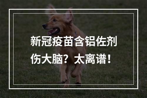新冠疫苗含铝佐剂伤大脑？太离谱！