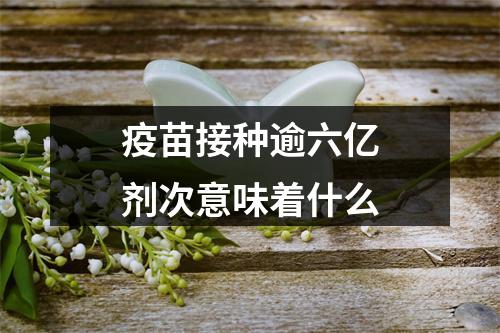 疫苗接种逾六亿剂次意味着什么