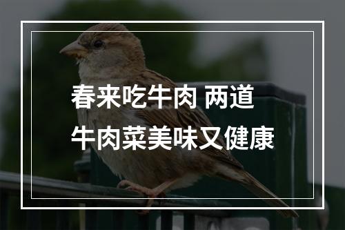 春来吃牛肉 两道牛肉菜美味又健康