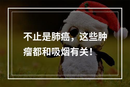 不止是肺癌，这些肿瘤都和吸烟有关！