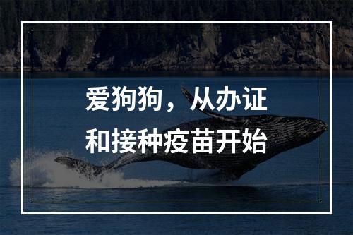 爱狗狗，从办证和接种疫苗开始