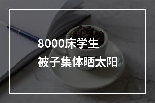 8000床学生被子集体晒太阳