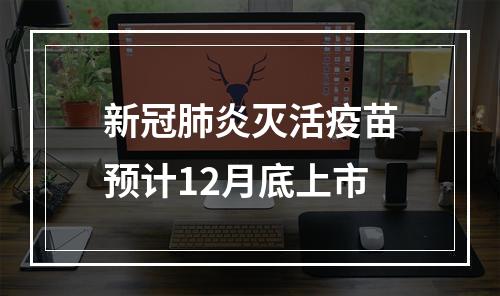 新冠肺炎灭活疫苗预计12月底上市