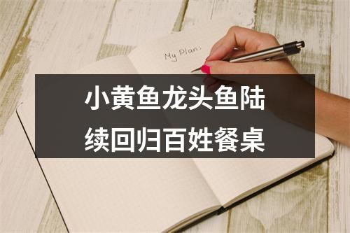 小黄鱼龙头鱼陆续回归百姓餐桌