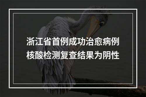 浙江省首例成功治愈病例核酸检测复查结果为阴性