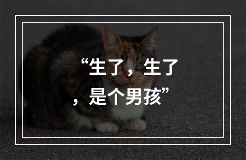 “生了，生了，是个男孩”