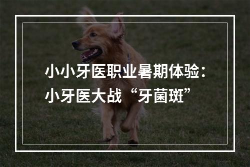 小小牙医职业暑期体验：小牙医大战“牙菌斑”