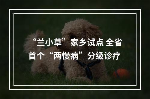 “兰小草”家乡试点 全省首个“两慢病”分级诊疗