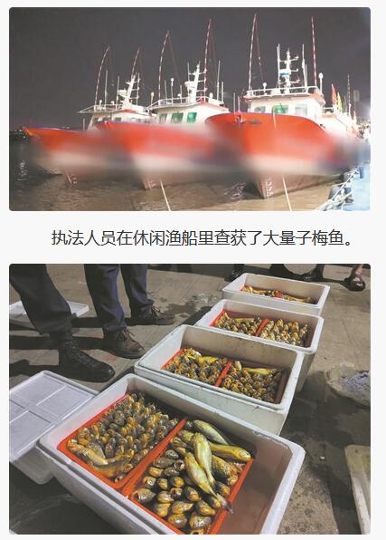 警方破获全国首例由休闲渔业公司组织的非法捕捞水产品案