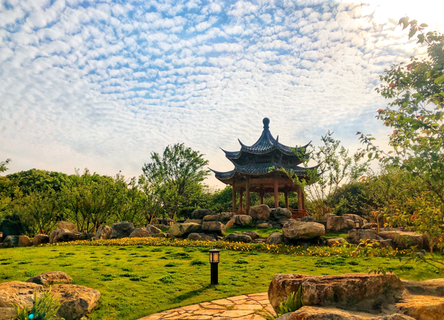 2025年温州市决策咨询委员会全体会议召开