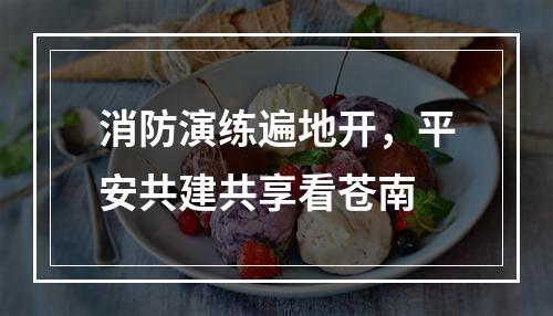 消防演练遍地开，平安共建共享看苍南